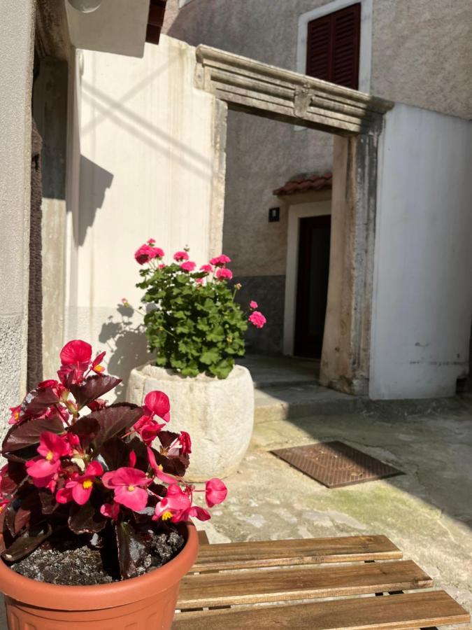 Apartament Centar *